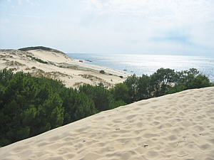 Dünenlandschaft